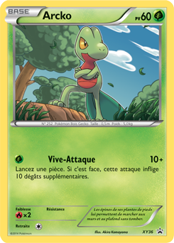 Carte Pokémon Arcko XY36 de la série Promos XY en vente au meilleur prix