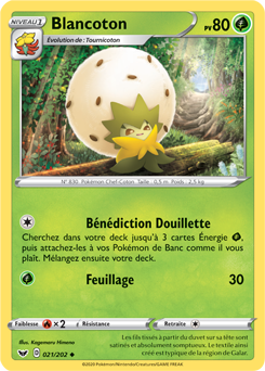 Carte Pokémon Peu commune Blancoton 21/202 de la série Épée et Bouclier