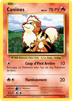 Carte Pokémon Commune Caninos 17/108 de la série Évolutions