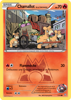 Carte Pokémon Chamallot de la Team Magma 1/34 de la série Double Danger en vente au meilleur prix