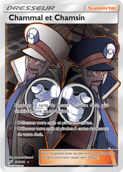 Carte Pokémon Dresseur Full Art Chammal et Chamsin 176/181 de la série Duo de Choc