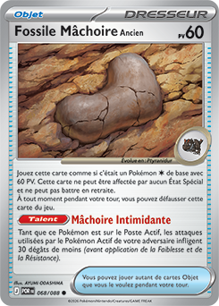 Carte Pokémon Communes Fossile Mâchoire Ancien 68/88 de la série Équilibre Parfait