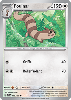 Carte Pokémon Communes Fouinar 119/159 de la série Aventures Ensemble