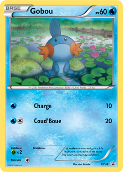 Carte Pokémon Promo Gobou XY38 de la série Promos XY