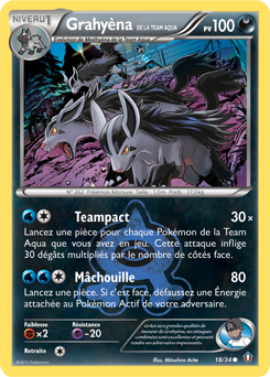 Carte Pokémon Grahyèna de la Team Aqua 18/34 de la série Double Danger en vente au meilleur prix