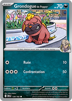Carte Pokémon Communes Grondogue de Pepper 138/182 de la série Rivalités Destinées