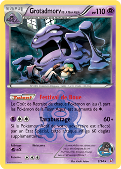 Carte Pokémon Holographique Rare Grotadmorv de la Team Aqua 8/34 de la série Double Danger