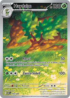 Carte Pokémon Illustration rare Haydaim 92/86 de la série Flamme Blanche