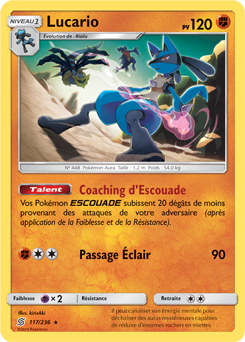 Carte Pokémon Lucario 117/236 de la série Harmonie des Esprits en vente au meilleur prix