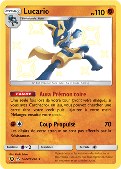 Classeur de cartes Pokemon Lucario