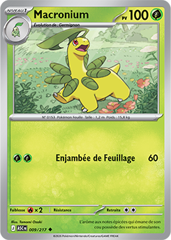 Carte Pokémon Macronium 9/217 de la série Héros Transcendants en vente au meilleur prix