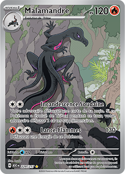 Carte Pokémon Malamandre 224/217 de la série Héros Transcendants en vente au meilleur prix