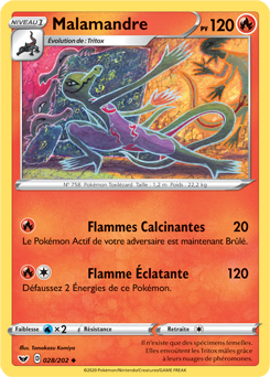 Carte Pokémon Malamandre 28/202 de la série Épée et Bouclier en vente au meilleur prix