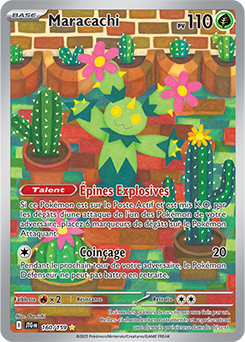 Carte Pokémon Illustration rare Maracachi 160/159 de la série Aventures Ensemble