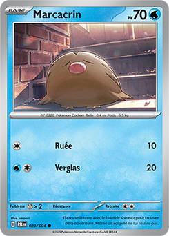 Carte Pokémon Communes Marcacrin 23/94 de la série Flammes Fantasmagoriques