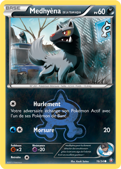 Carte Pokémon Medhyèna de la Team Aqua 16/34 de la série Double Danger en vente au meilleur prix