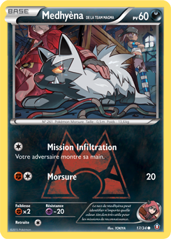 Carte Pokémon Medhyèna de la Team Magma 17/34 de la série Double Danger en vente au meilleur prix