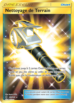 Carte Pokémon Nettoyage de Terrain 163/145 de la série Gardiens Ascendants en vente au meilleur prix