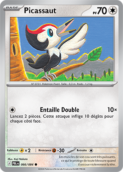 Carte Pokémon Picassaut 66/84 de la série Nuit Noire en vente au meilleur prix