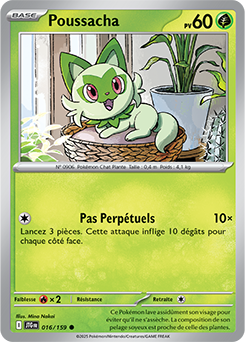 Carte Pokémon Communes Poussacha 16/159 de la série Aventures Ensemble