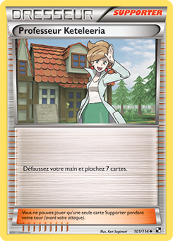 Carte Pokémon Professeur Keteleeria 101/114 de la série Noir & Blanc en vente au meilleur prix