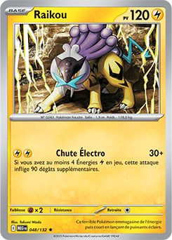 Carte Pokémon Rare Raikou 48/132 de la série Méga-Évolution
