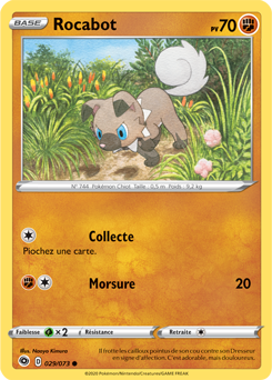 Carte Pokémon Commune Rocabot 029/073 de la série La Voie du Maître