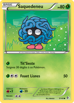 Carte Pokémon Commune Saquedeneu 5/149 de la série Frantières Franchies