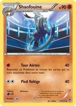 Carte Pokémon Shaofouine 57/111 de la série Poings Furieux en vente au meilleur prix