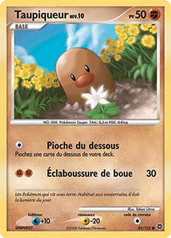 Carte Pokémon Taupiqueur 85/132 de la série Merveilles Secrètes en vente au meilleur prix