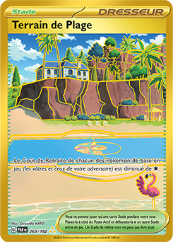 Carte Pokémon Terrain de Plage 263/182 de la série Faille Paradoxe en vente au meilleur prix