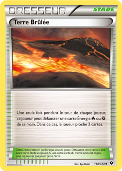 Carte Pokémon Terre Brûlée 110/124 de la série Impact des Destins en vente au meilleur prix