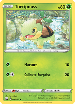 Carte Pokémon Tortipouss 006/172 de la série Stars Étincelantes en vente au meilleur prix