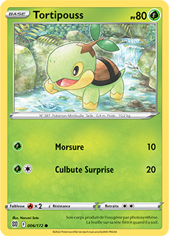 Carte Pokémon Communes Tortipouss 006/172 de la série Stars Étincelantes