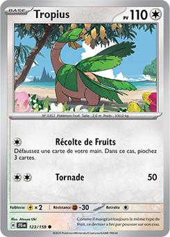 Carte Pokémon Communes Tropius 123/159 de la série Aventures Ensemble