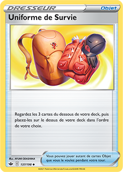 Carte Pokémon Uniforme de Survie 137/198 de la série Règne de Glace en vente au meilleur prix