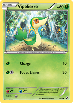 Carte Pokémon Commune Vipélierre 1/114 de la série Noir & Blanc