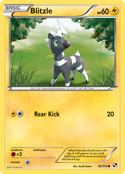 Blitzle 40/114 Pokémon card from Black & White for sale at best price