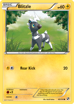 Common Pokémon card Blitzle 40/114 from Black & White expansion