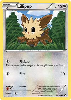 Lillipup 80/114 Pokémon card from Black & White for sale at best price