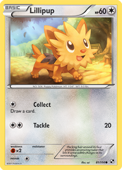 Lillipup 81/114 Pokémon card from Black & White for sale at best price