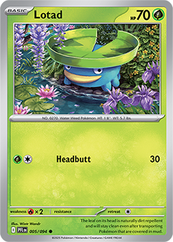 Common Pokémon card Lotad 5/94 from Phantasmal Flames expansion