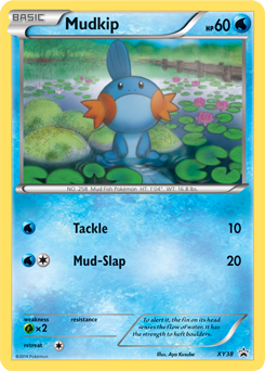 Promo Pokémon card Mudkip XY38 from XY Promos expansion