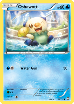 Common Pokémon card Oshawott 30/114 from Steam Siege expansion