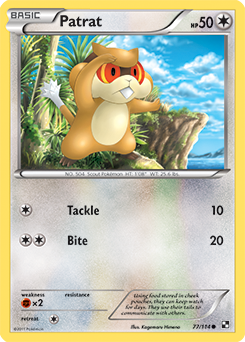 Patrat 77/114 Pokémon card from Black & White for sale at best price