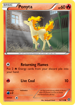 Ponyta 16/114 Pokémon card from Steam Siege for sale at best price