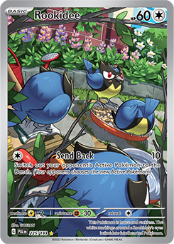 Illustration rare Pokémon card Rookidee 225/193 from Paldea Evolved expansion