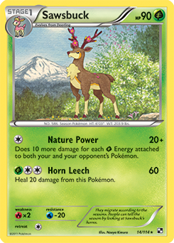Rare Pokémon card Sawsbuck 14/114 from Black & White expansion