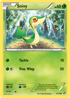 Common Pokémon card Snivy 1/114 from Black & White expansion