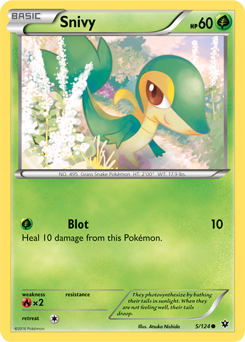 Snivy 5/124 Pokémon card from Fates Collide for sale at best price